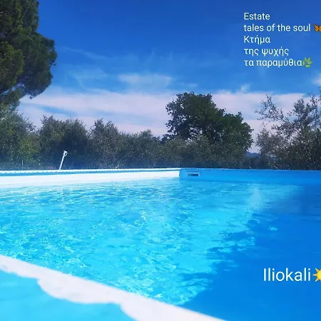 Bungalows With Private Pools 