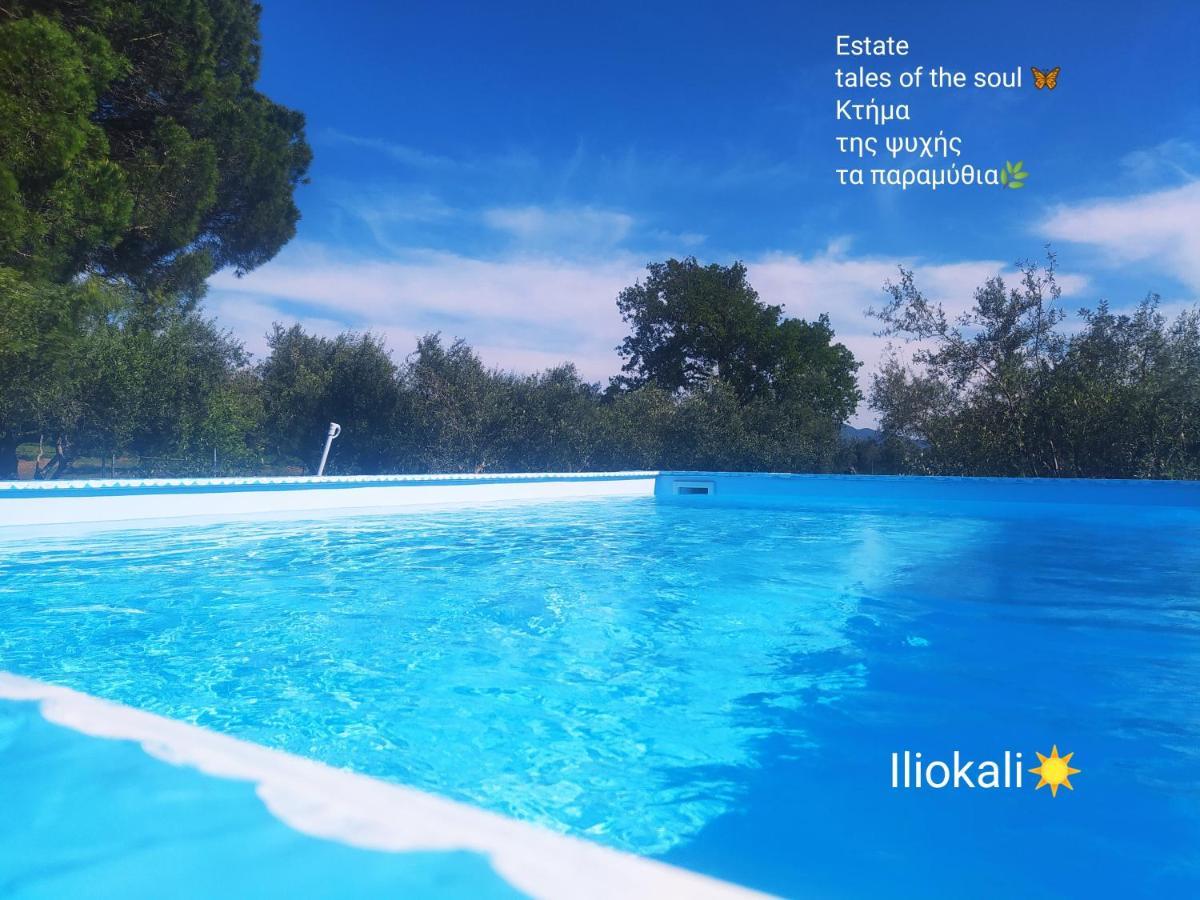 Ferienhaus With Private Pools 