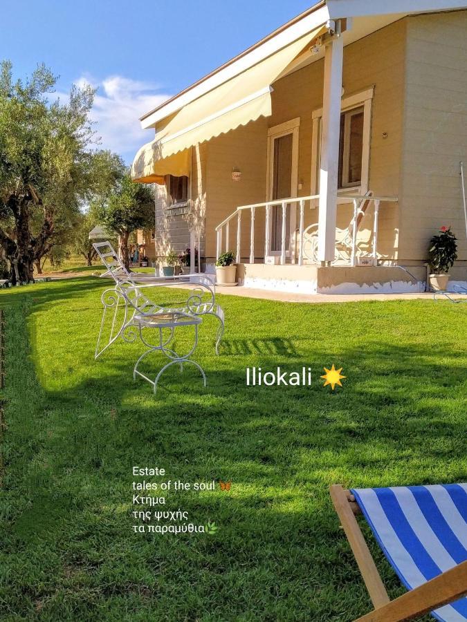 With Private Pools 
